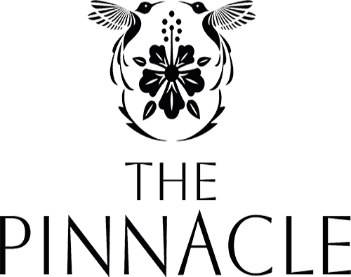 The Pinnacle Jamaica C.R.M